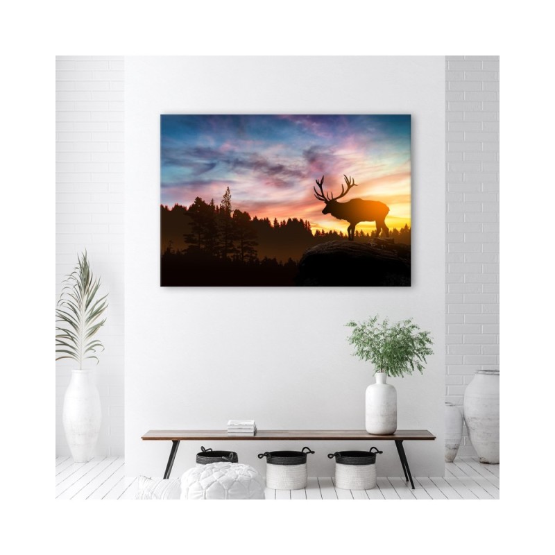 Modernes Wandbild - Hirsch bei Sonnenuntergang | Feeby
