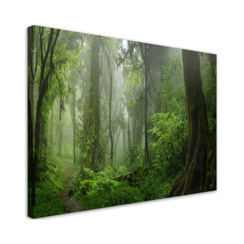 Leinwandbild - Tropischer Dschungelwald | Feeby