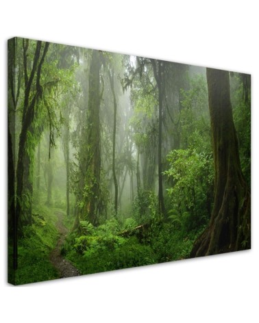 Leinwandbild - Tropischer Dschungelwald | Feeby