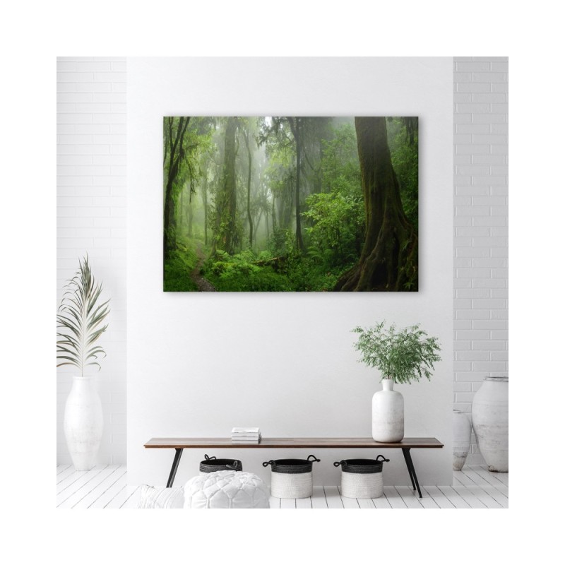 Leinwandbild - Tropischer Dschungelwald | Feeby