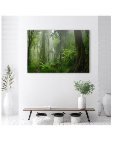 Leinwandbild - Tropischer Dschungelwald | Feeby