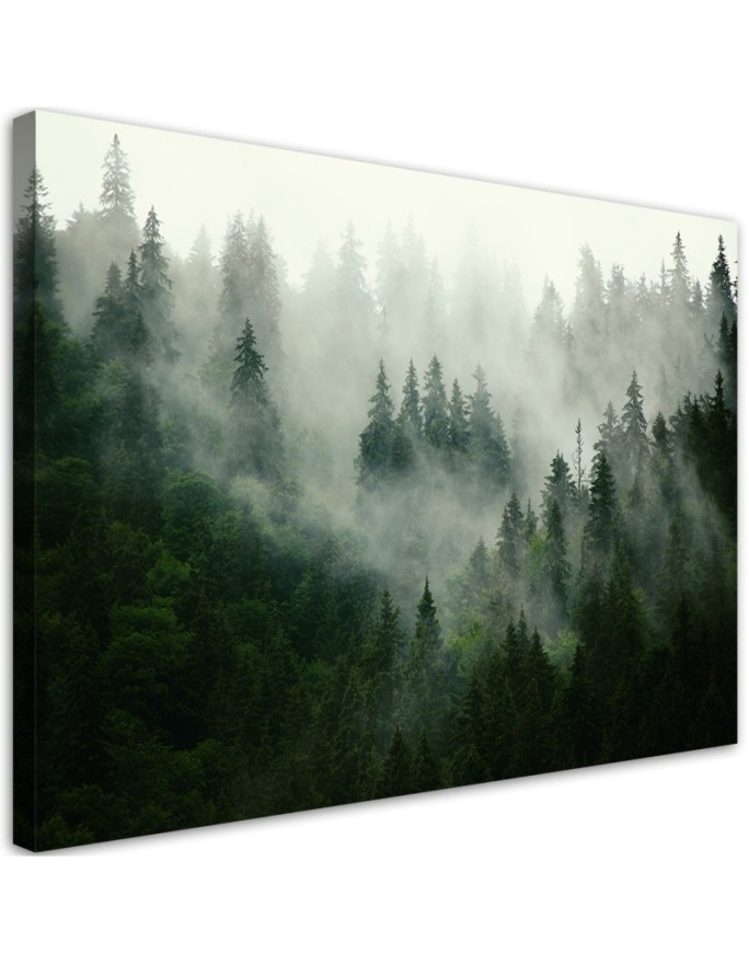 Modernes Wandbild - Wald im Nebel | Feeby
