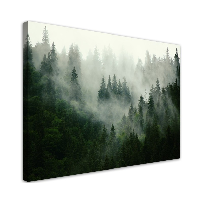 Modernes Wandbild - Wald im Nebel | Feeby