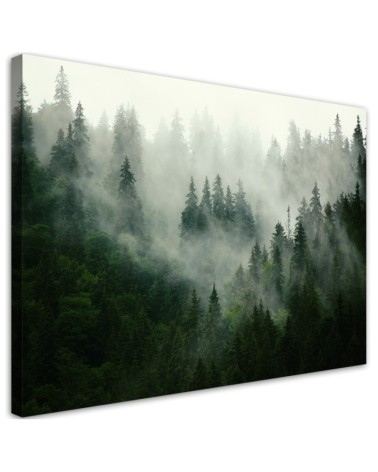 Modernes Wandbild - Wald im Nebel | Feeby