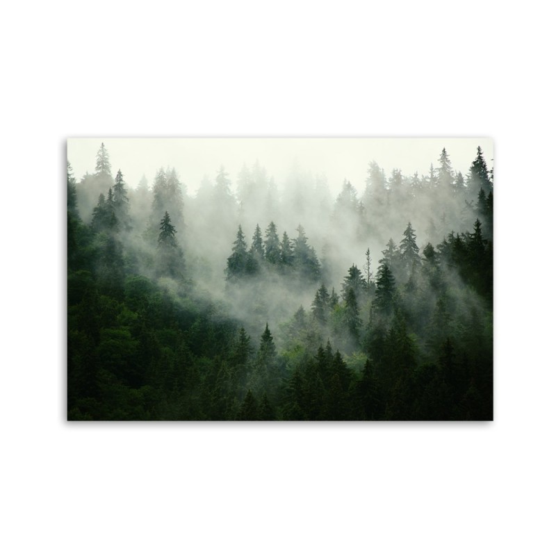 Modernes Wandbild - Wald im Nebel | Feeby