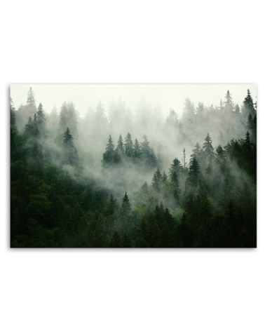 Modernes Wandbild - Wald im Nebel | Feeby