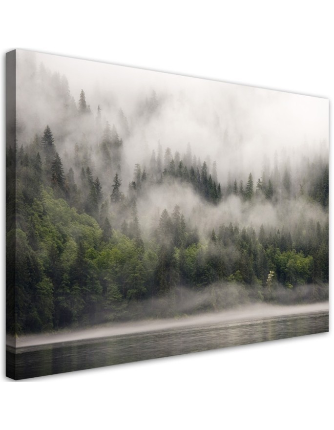 Bild auf Leinwand - Wald im Nebel | Feeby