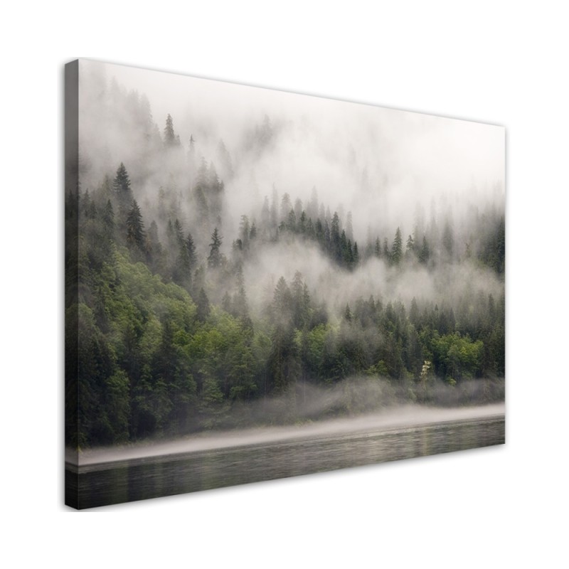 Bild auf Leinwand - Wald im Nebel | Feeby