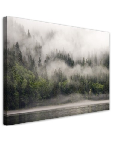 Bild auf Leinwand - Wald im Nebel | Feeby