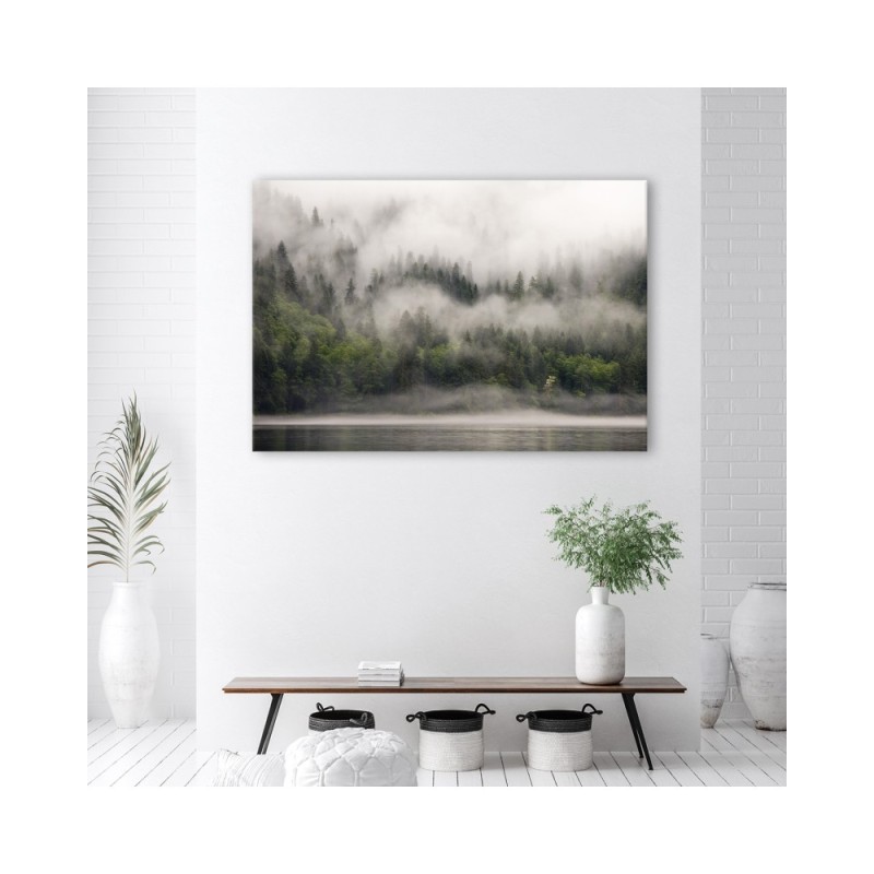 Bild auf Leinwand - Wald im Nebel | Feeby