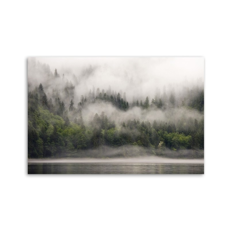 Bild auf Leinwand - Wald im Nebel | Feeby