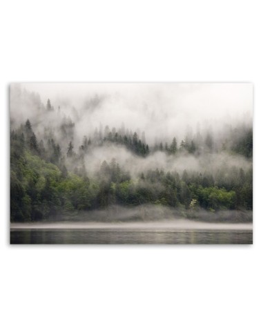 Bild auf Leinwand - Wald im Nebel | Feeby