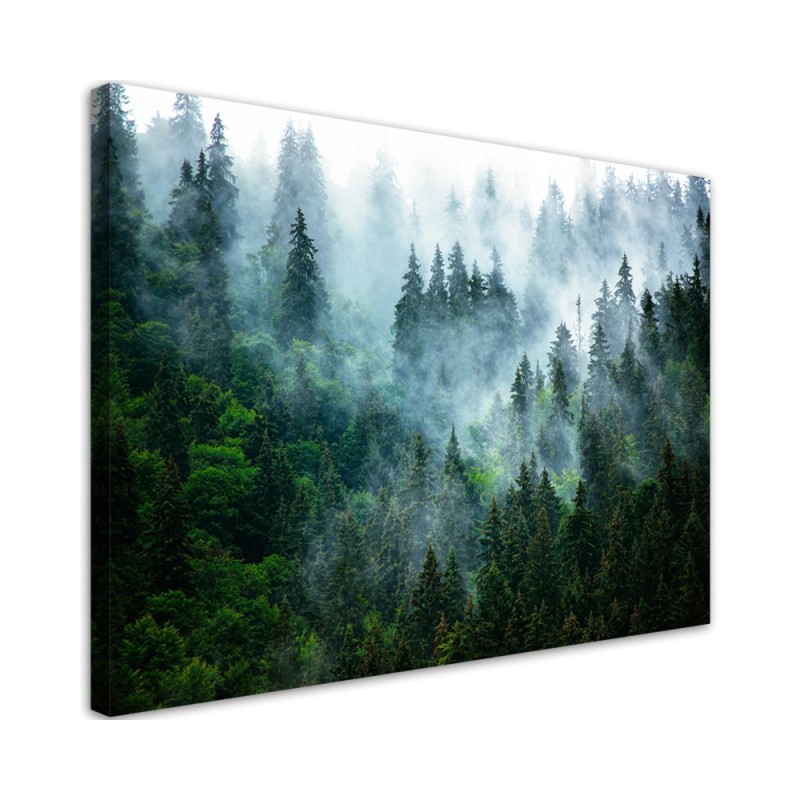 Leinwanddruck - Wald im Nebel | Feeby