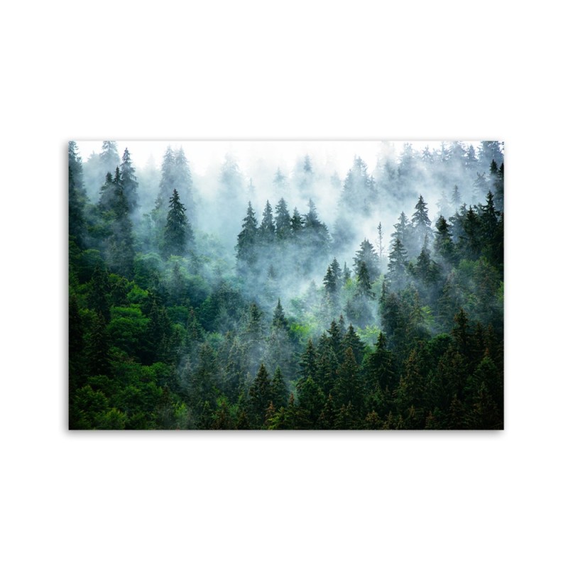 Leinwanddruck - Wald im Nebel | Feeby