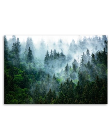 Leinwanddruck - Wald im Nebel | Feeby
