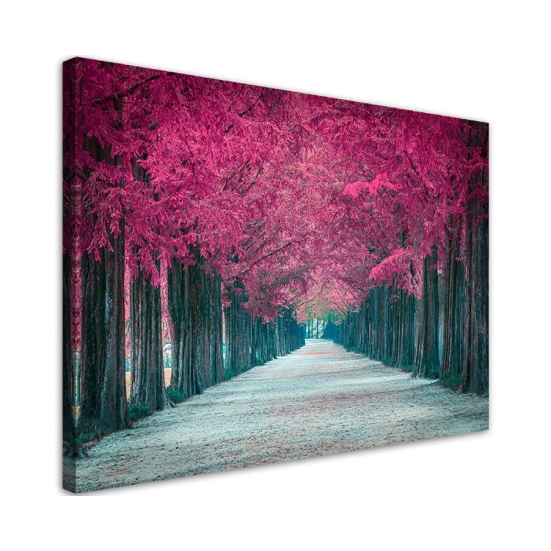 Leinwanddruck - Avenue von rosa Bäumen | Feeby