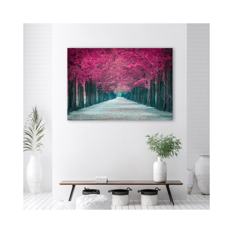 Leinwanddruck - Avenue von rosa Bäumen | Feeby