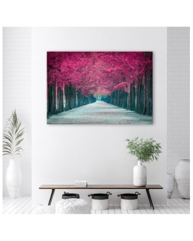 Leinwanddruck - Avenue von rosa Bäumen | Feeby