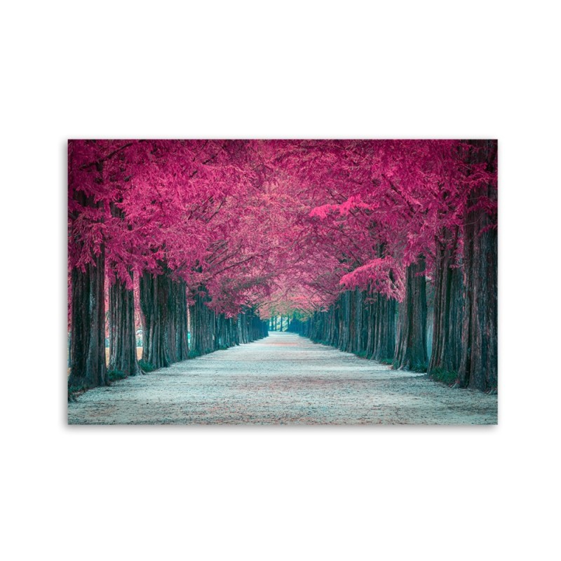 Leinwanddruck - Avenue von rosa Bäumen | Feeby