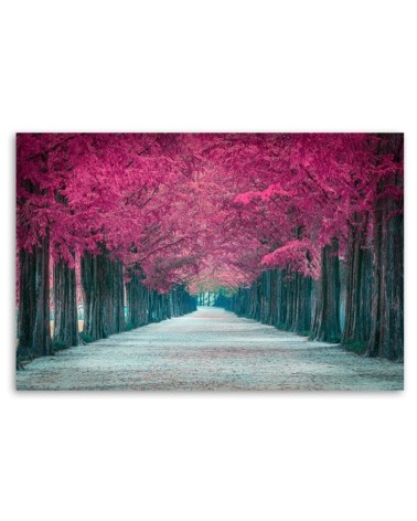 Leinwanddruck - Avenue von rosa Bäumen | Feeby