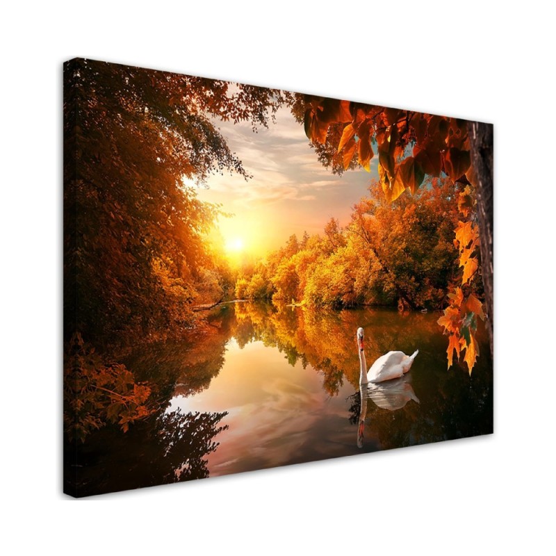 Leinwanddruck - Schwan auf dem Teichherbst | Feeby