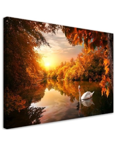 Canvas painting - Swan on a pond autumn | FEEBY