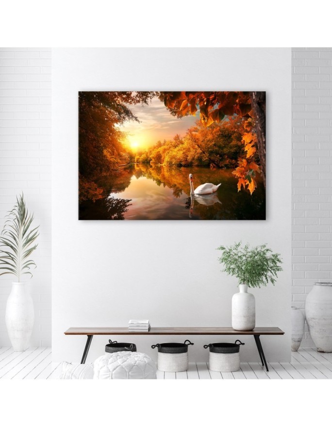 Obraz na płótnie canvas - Łabędź na stawie jesień | FEEBY