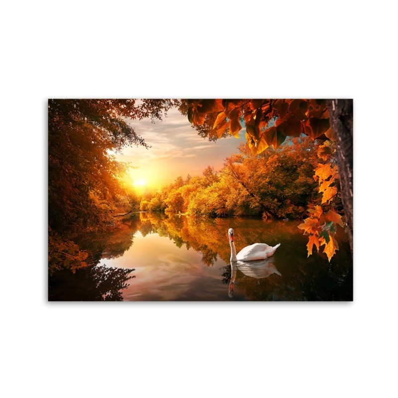 Leinwanddruck - Schwan auf dem Teichherbst | Feeby