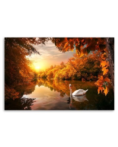 Leinwanddruck - Schwan auf dem Teichherbst | Feeby