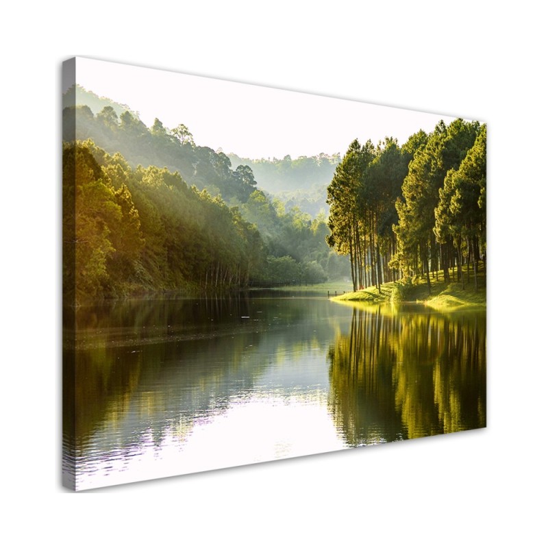 Leinwandbild - Landschaft Waldbaum Natur | Feeby