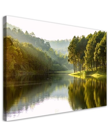 Canvas painting for living room - Landscape forest trees nature | FEEBY