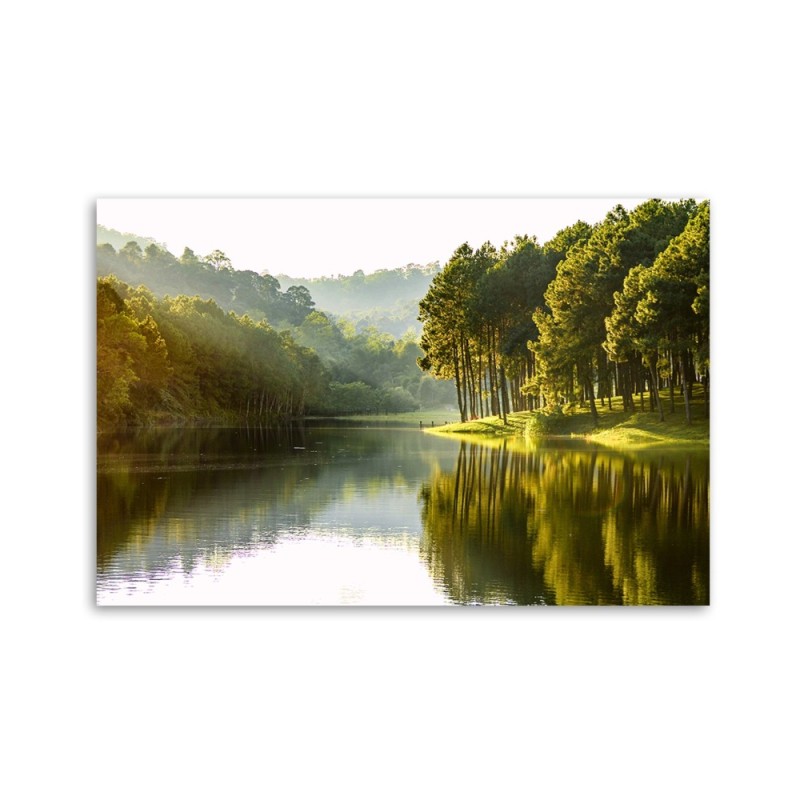 Leinwandbild - Landschaft Waldbaum Natur | Feeby