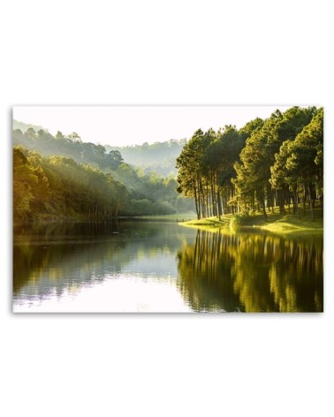 Leinwandbild - Landschaft Waldbaum Natur | Feeby