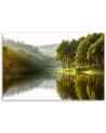 Obraz na płótnie do salonu - Krajobraz las drzewa natura | FEEBY