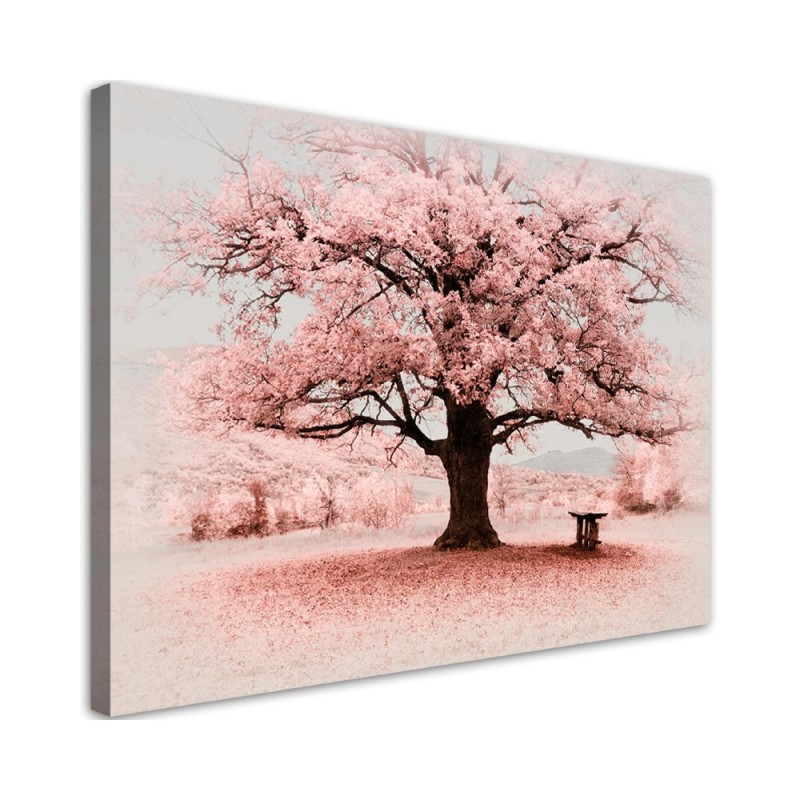Bild auf Leinwand - Rosa Baum Abstraktion Natur | Feeby