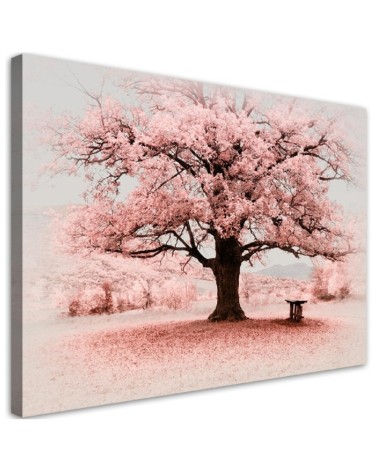 Bild auf Leinwand - Rosa Baum Abstraktion Natur | Feeby