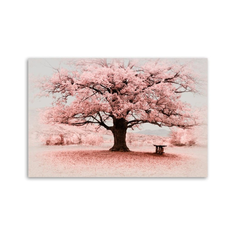 Bild auf Leinwand - Rosa Baum Abstraktion Natur | Feeby
