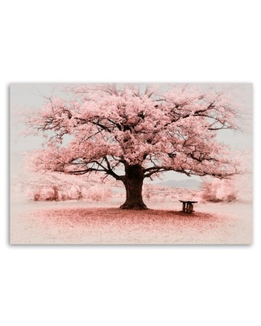 Bild auf Leinwand - Rosa Baum Abstraktion Natur | Feeby