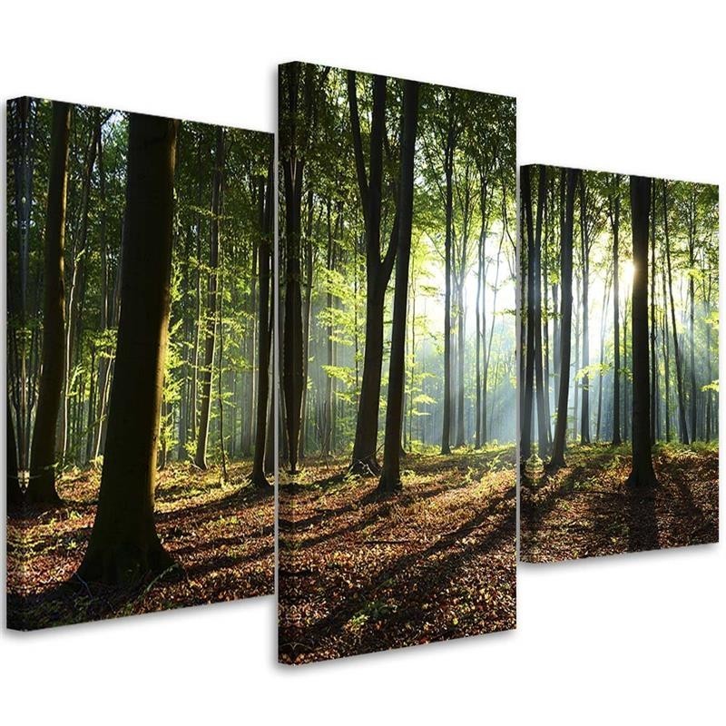 Obraz na płótnie canvas - Promienie słońca w lesie | FEEBY