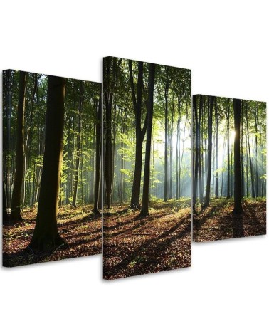 Obraz na płótnie canvas - Promienie słońca w lesie | FEEBY
