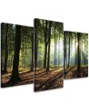 Obraz na płótnie canvas - Promienie słońca w lesie | FEEBY