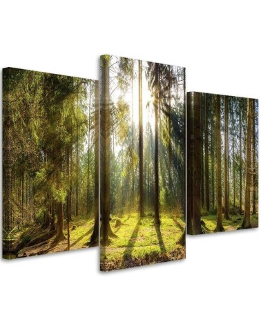 Modern multi-panel painting - Sunny day in the forest | FEEBY