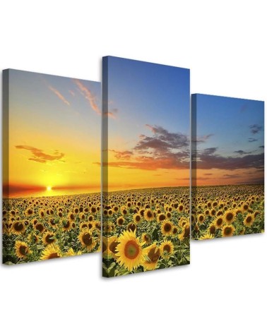 3 piece Bedroom painting - Meadow of sunflowers at sunset | FEEBY
