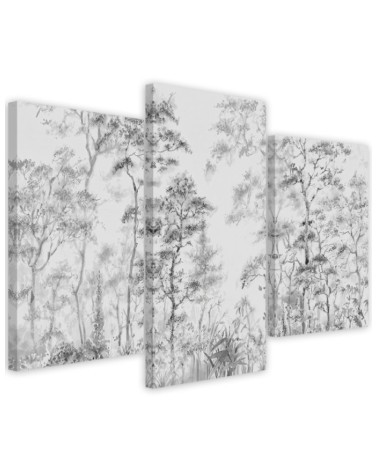 Canvas print modern - Tall trees in a forest | FEEBY