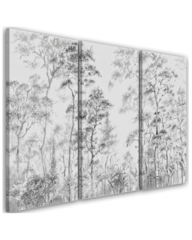 Canvas print - Tall trees in the forest | FEEBY