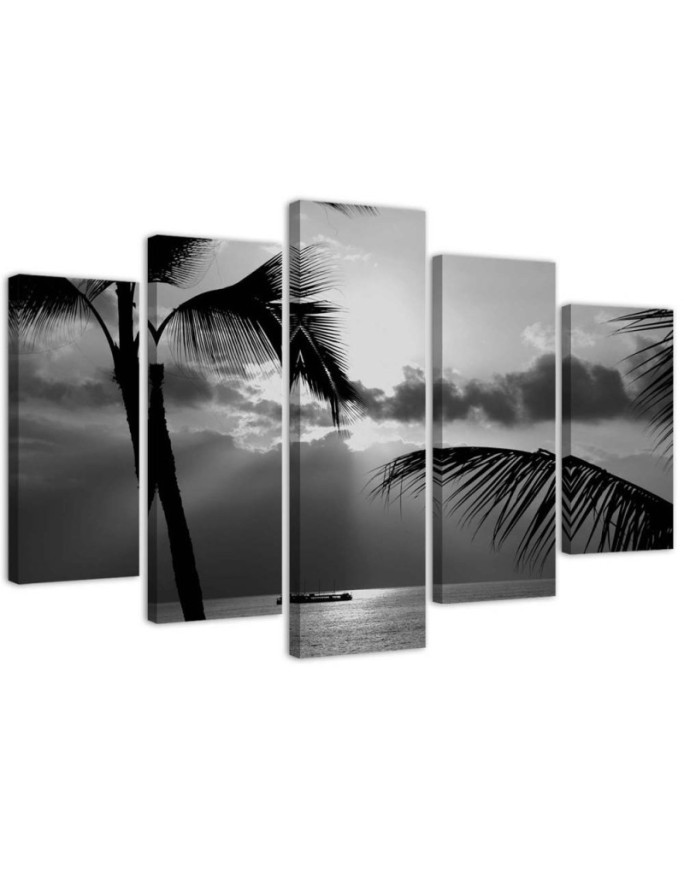 Leinwandbild - Meer Palmen Schwarz und Weiß | Feeby