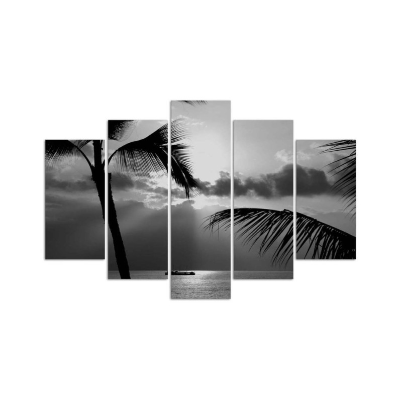 Leinwandbild - Meer Palmen Schwarz und Weiß | Feeby