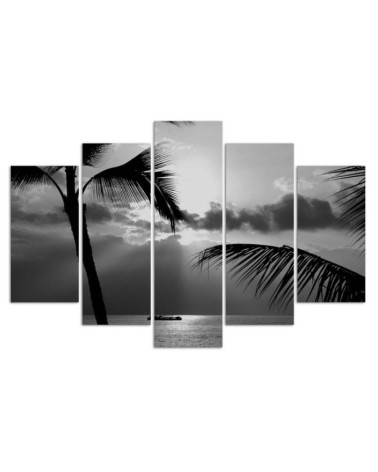 Leinwandbild - Meer Palmen Schwarz und Weiß | Feeby