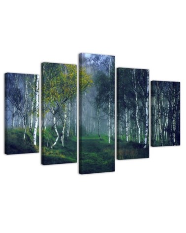 Bild auf Leinwand - Birkenwald im Nebel Landschaft | Feeby