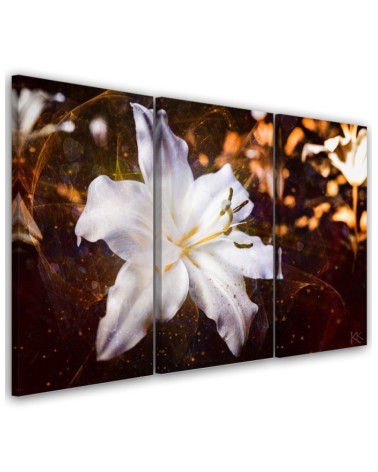 Canvas painting - White lily on brown background | FEEBY